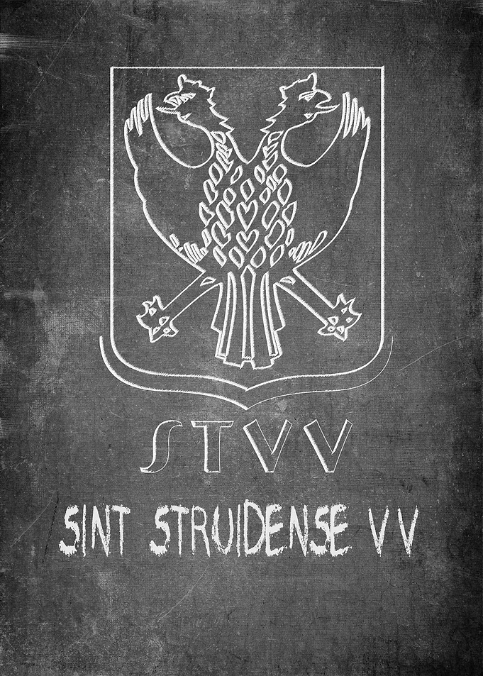 Sint Truidense v v