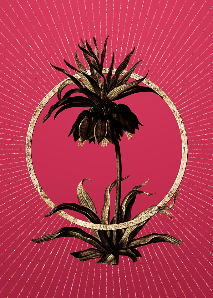 Viva Magenta Fritillaries