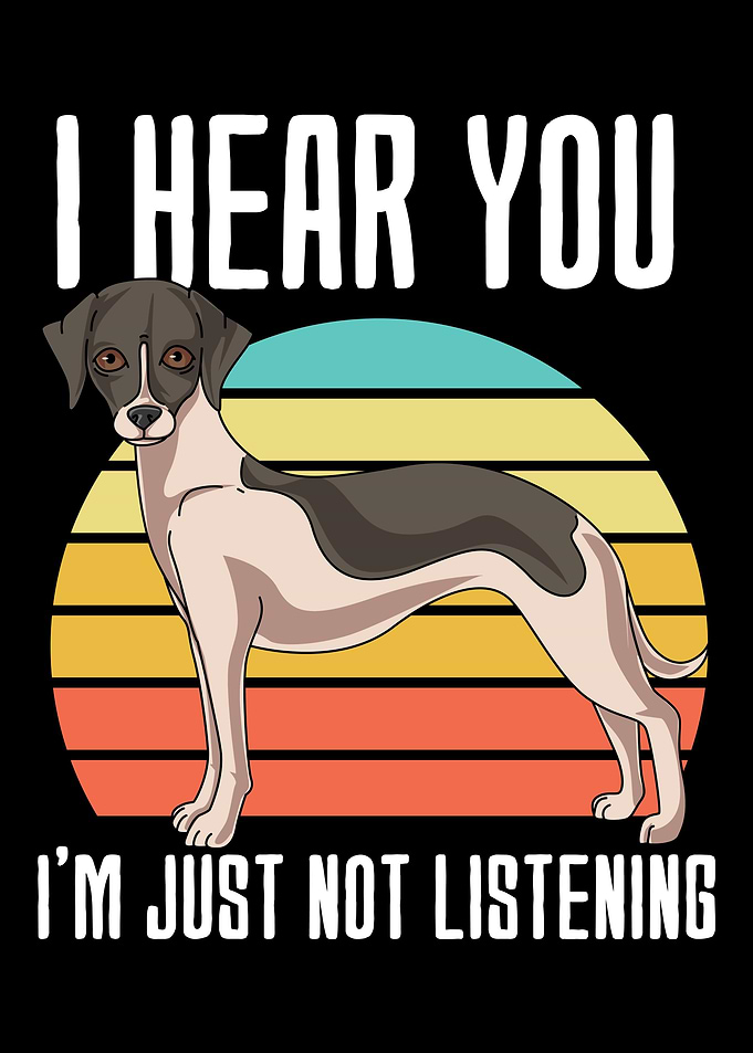 Whippet Gift