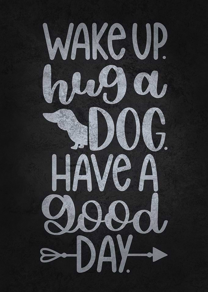 Wake Up Hug A Dog