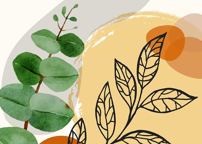 Botanical Boho Green