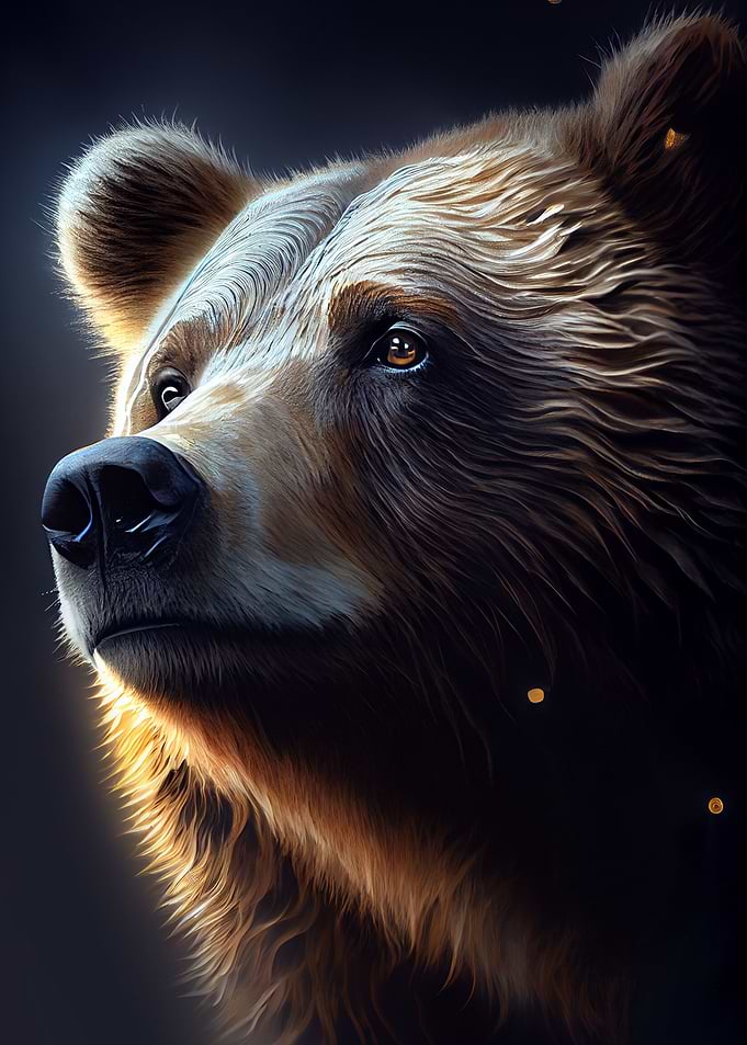 Bear Animal