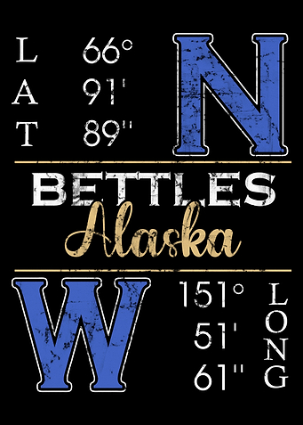 Bettles Alaska