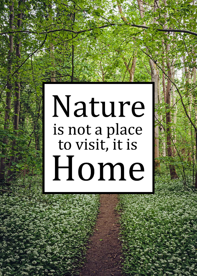 Nature is Home Quote