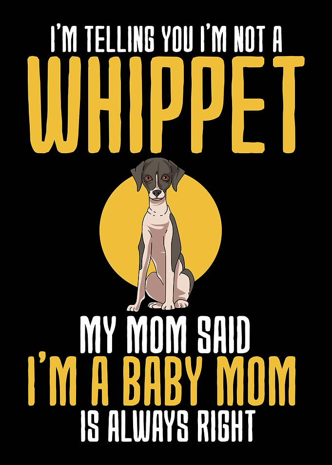 Whippet Gift