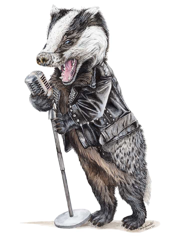 Rock N Badger
