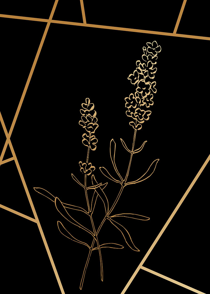 Lavender