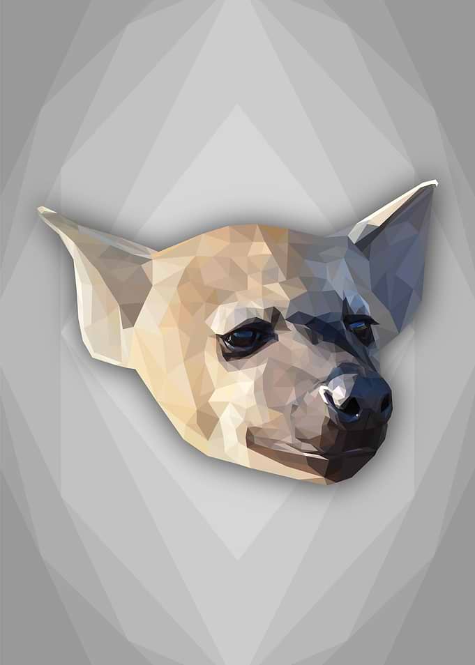 Low Poly Hyena Head