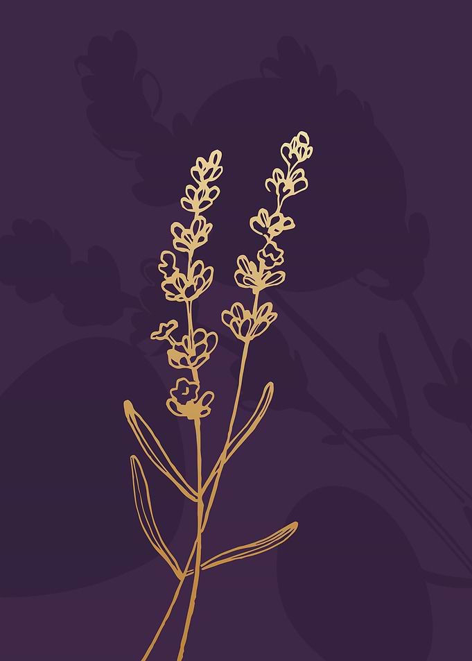 Lavender