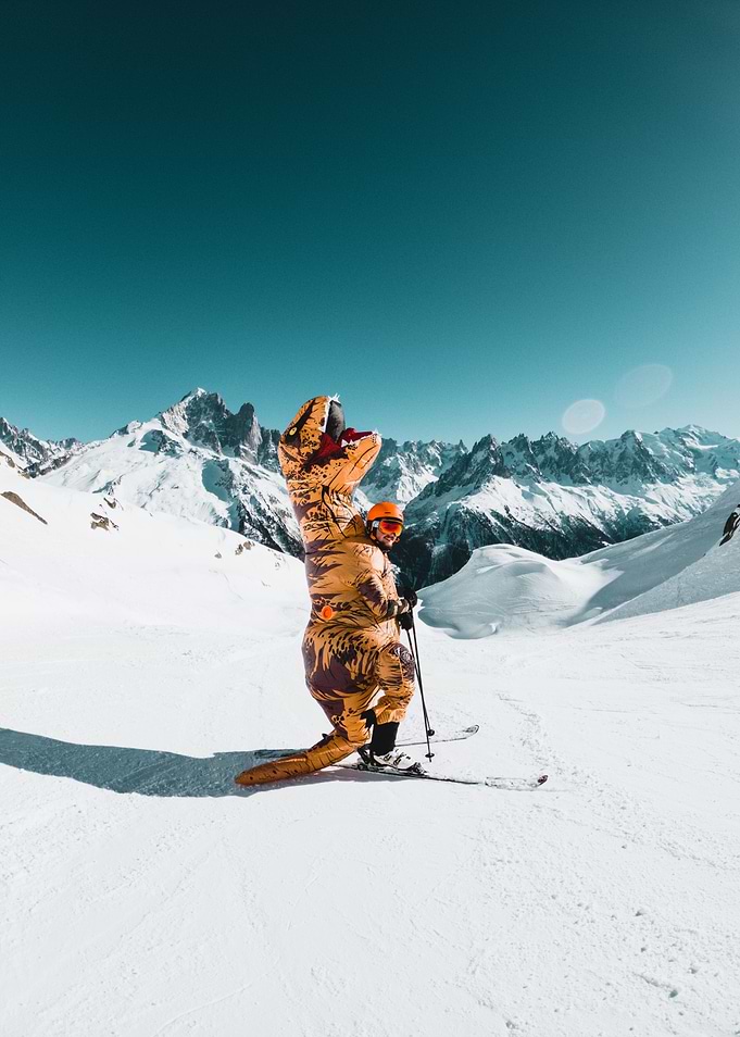 T Rex in the snow