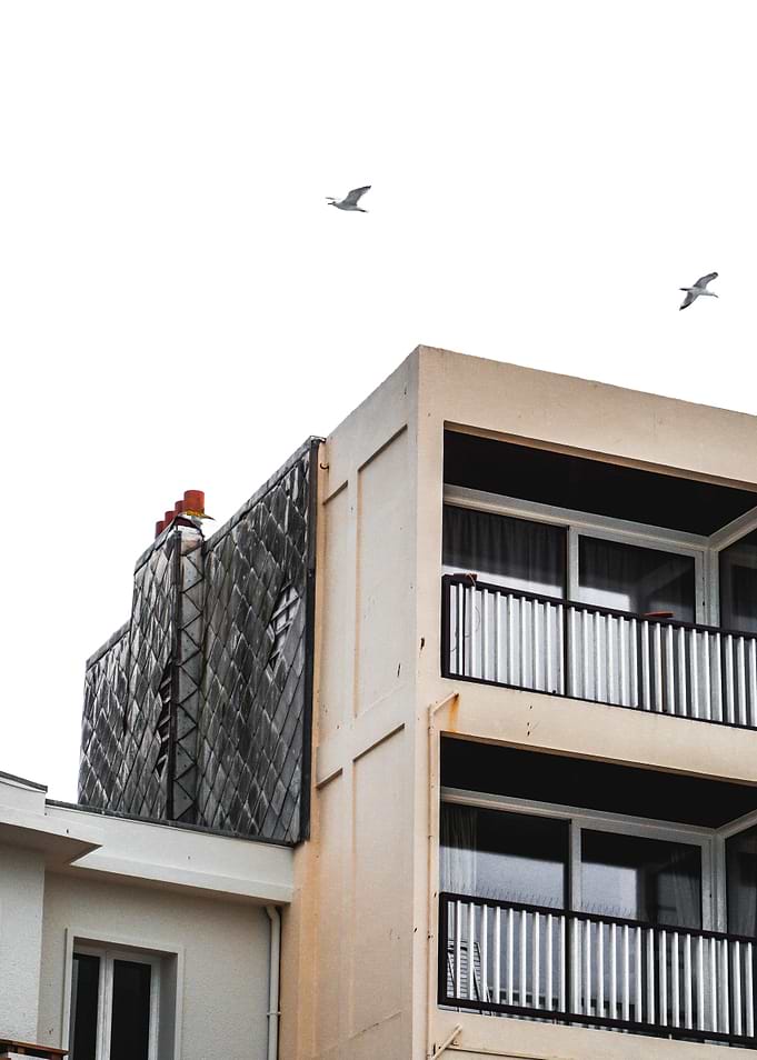 Building and birds