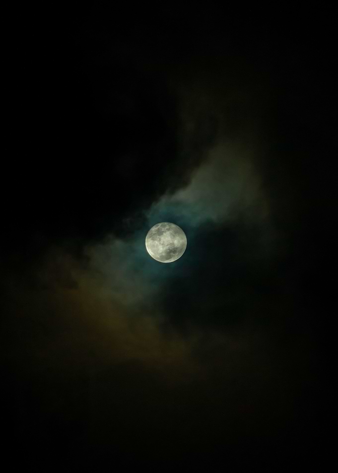 Howl