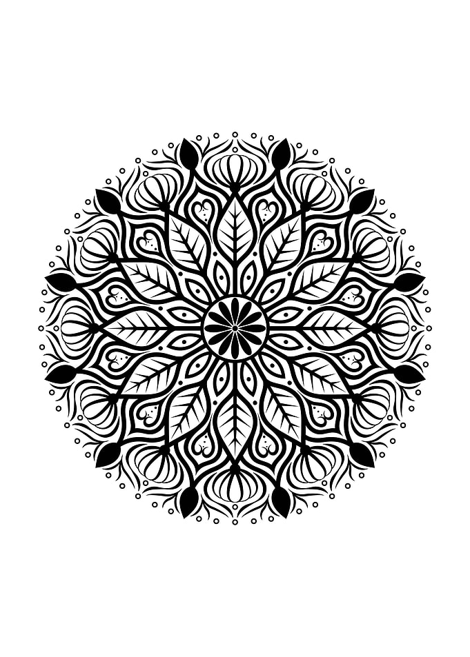 circle nature