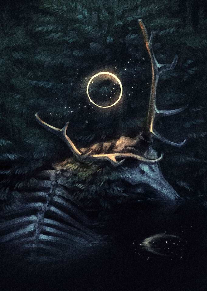 Stars