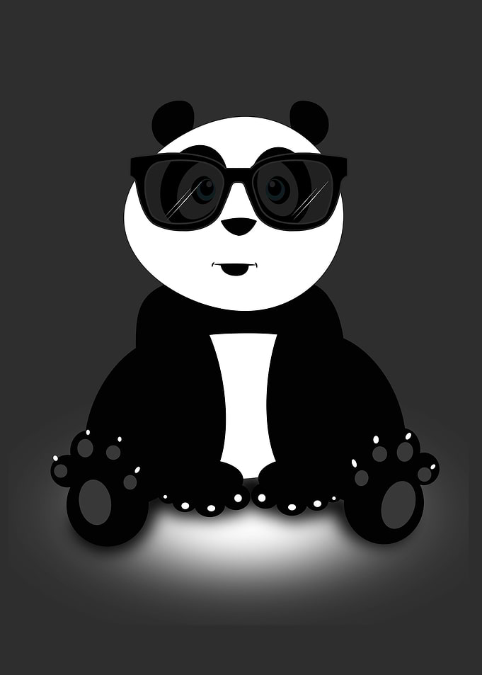 Cool Panda