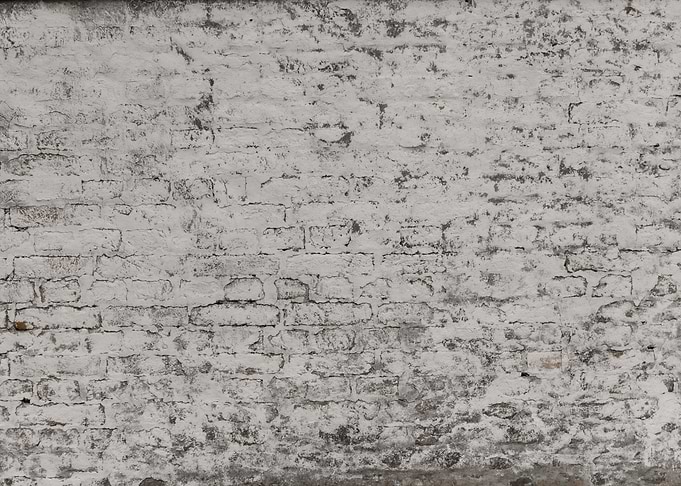 Rustic Loft Brick Wall 1