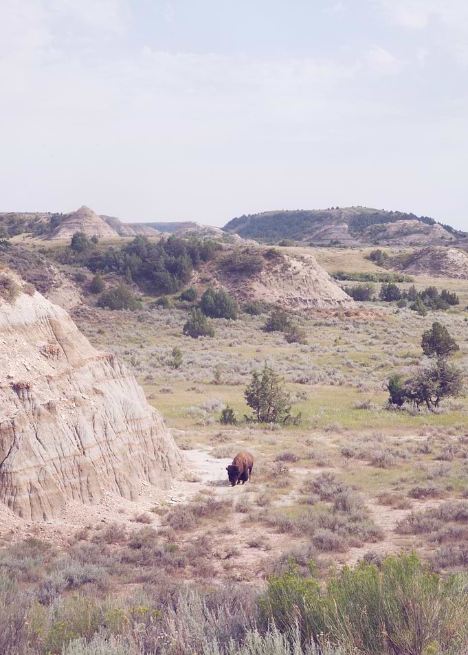 Dakota Badlands