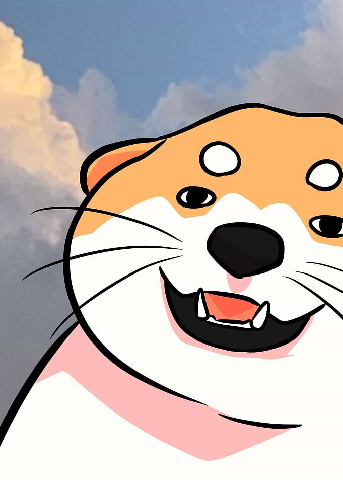 cute shiba inu