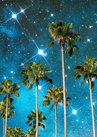 Palm Trees In Space