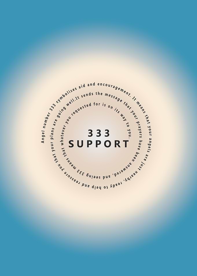 333 Support