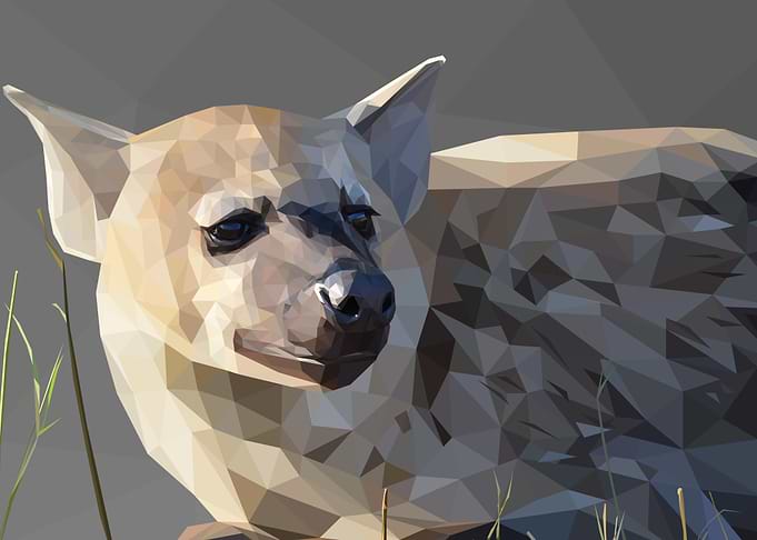 Low Poly Hyena Lying Down