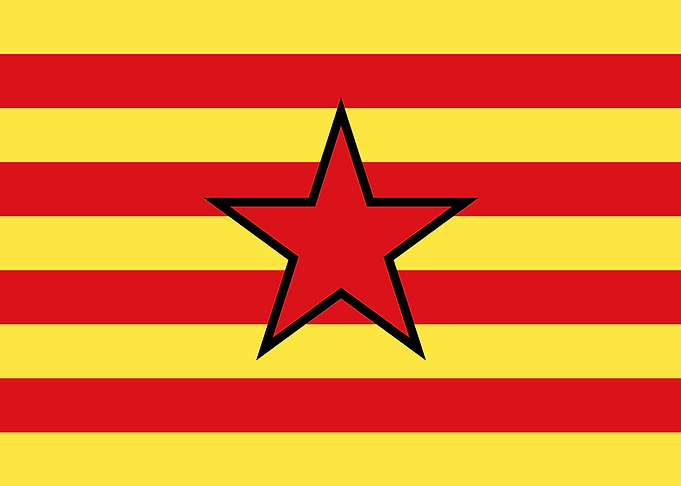 Estrelada Aragonesa Flag