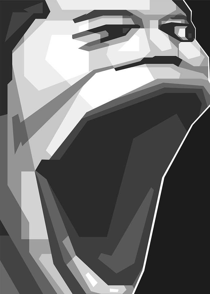 Gray Scare Face Popart