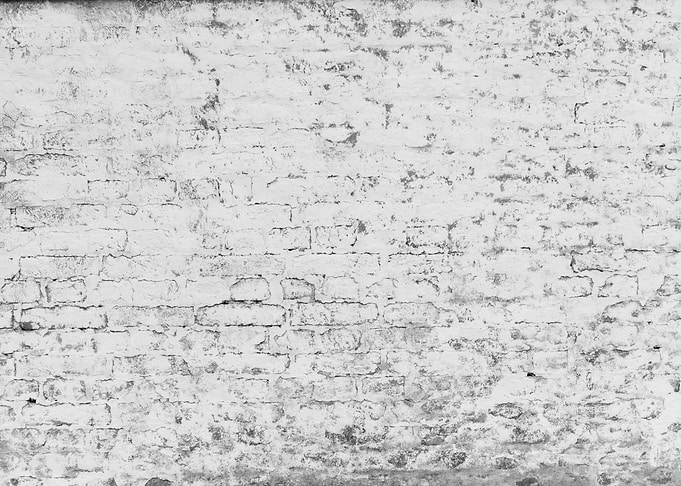 Rustic Loft Brick Wall 2
