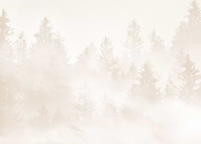 Warm Beige Forest Dream 1