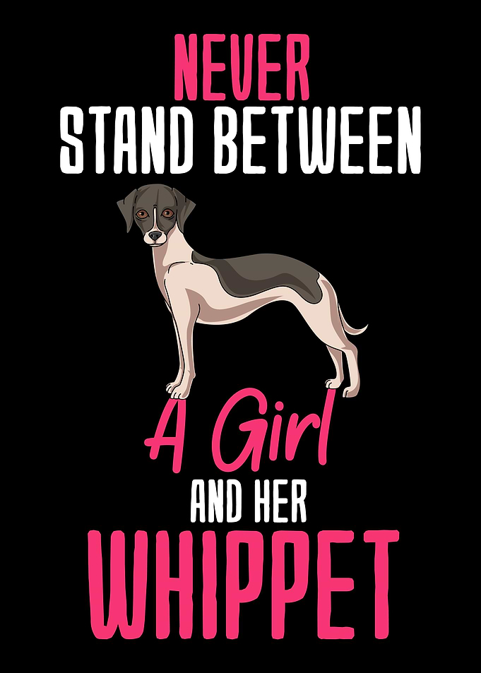 Whippet Girl Gift