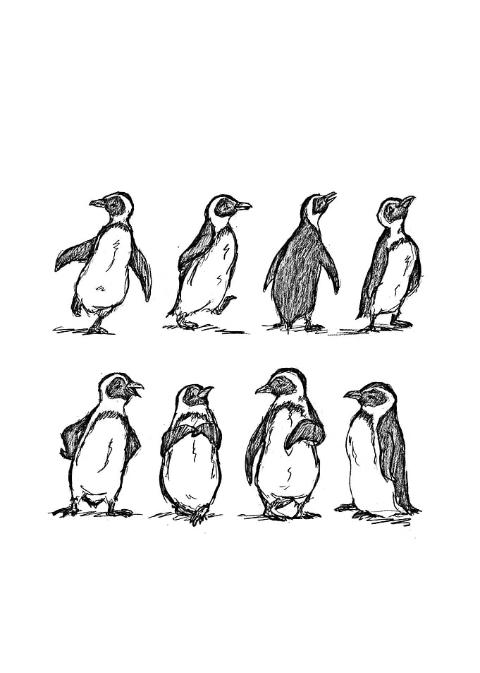 penguin
