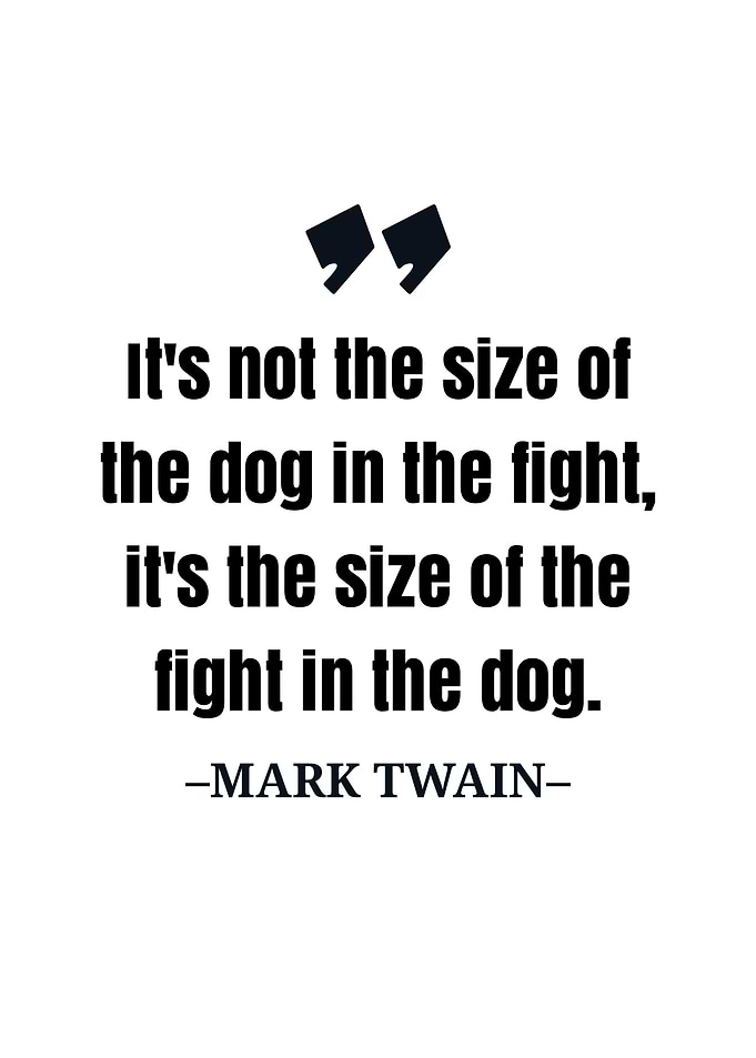 Mark Twain quote