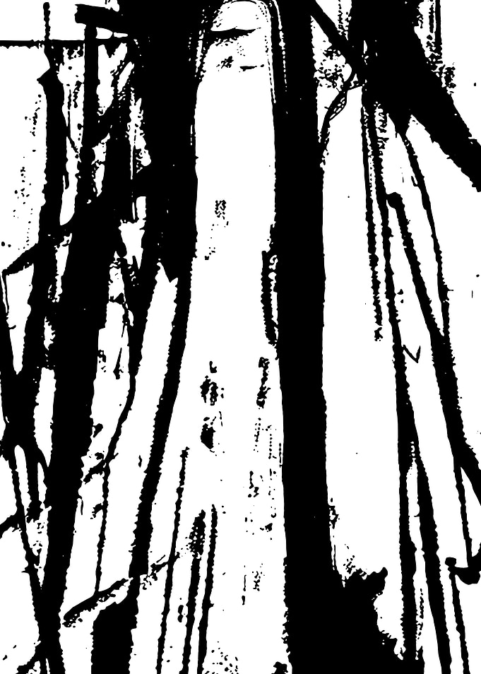 Abstract BW painting