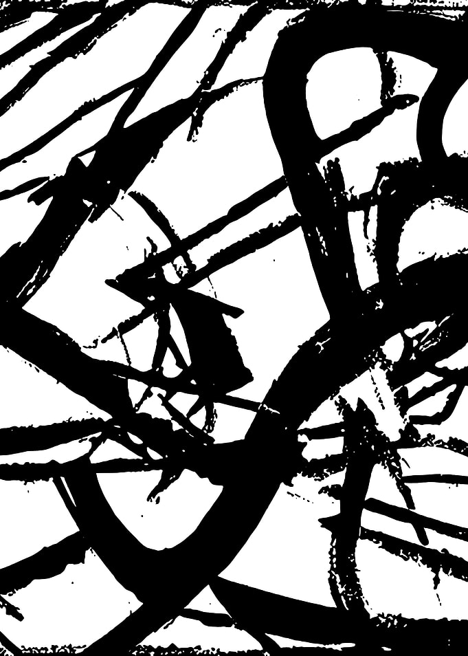Black and White Abstract