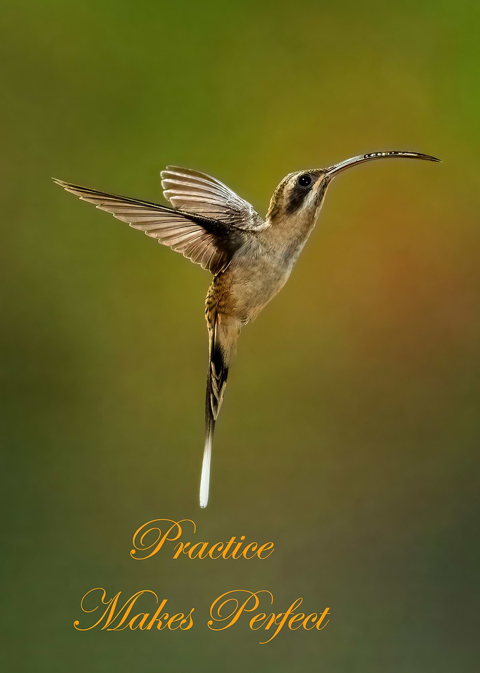 Practice Makes Perfect