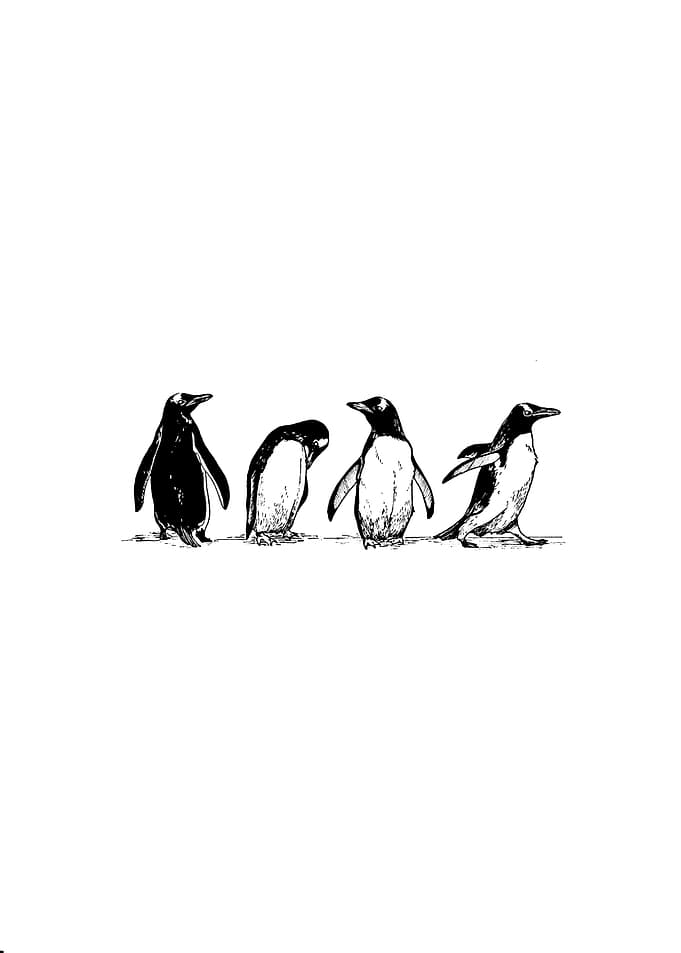 penguin