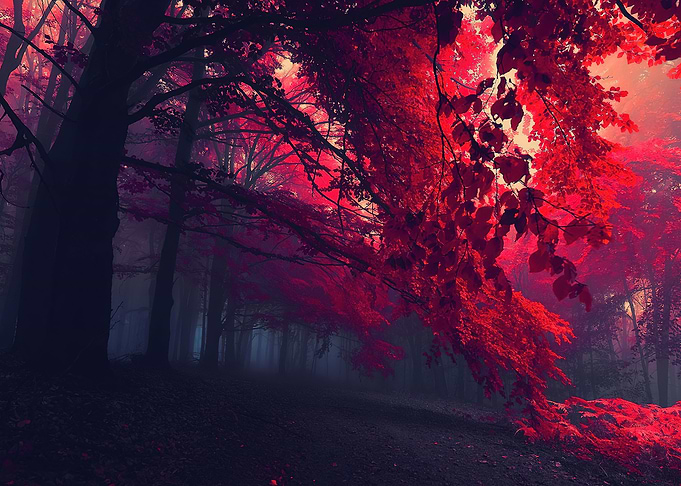 Red Trees