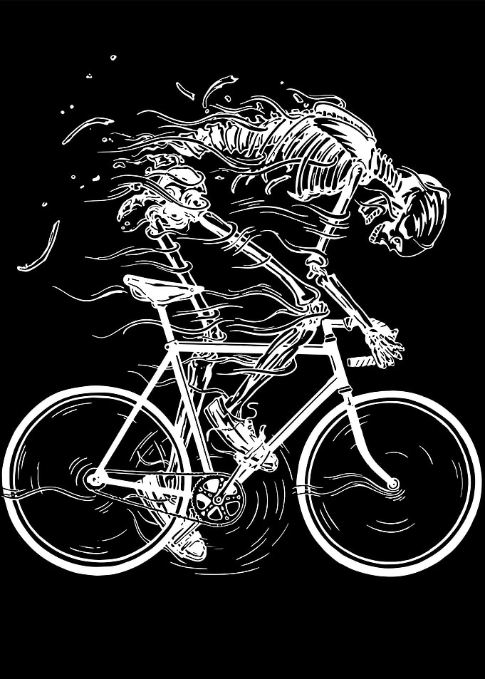 skull bike