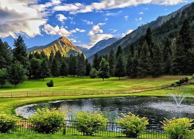 Landscape