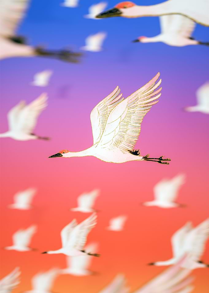 cranes