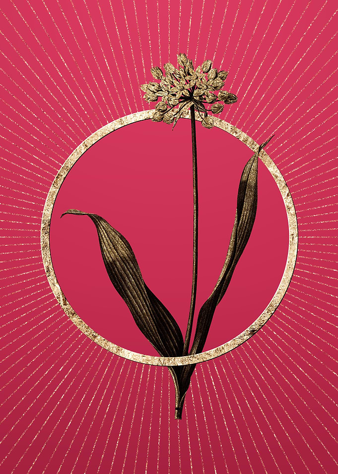 Viva Magenta Golden Garlic