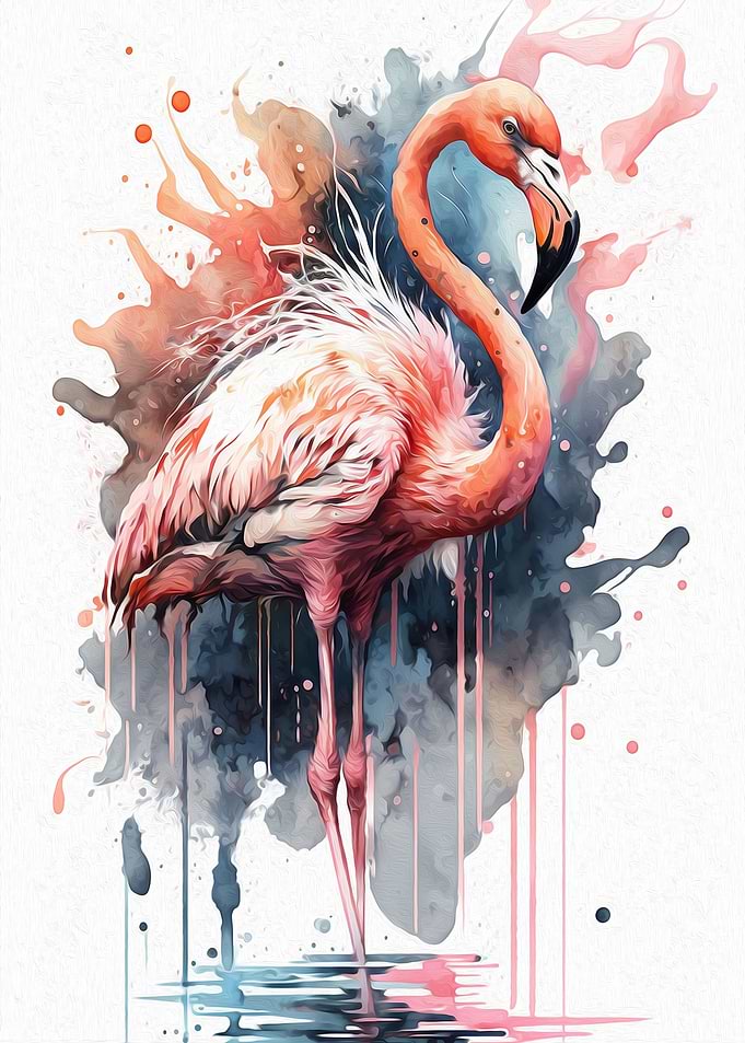 Flamingo