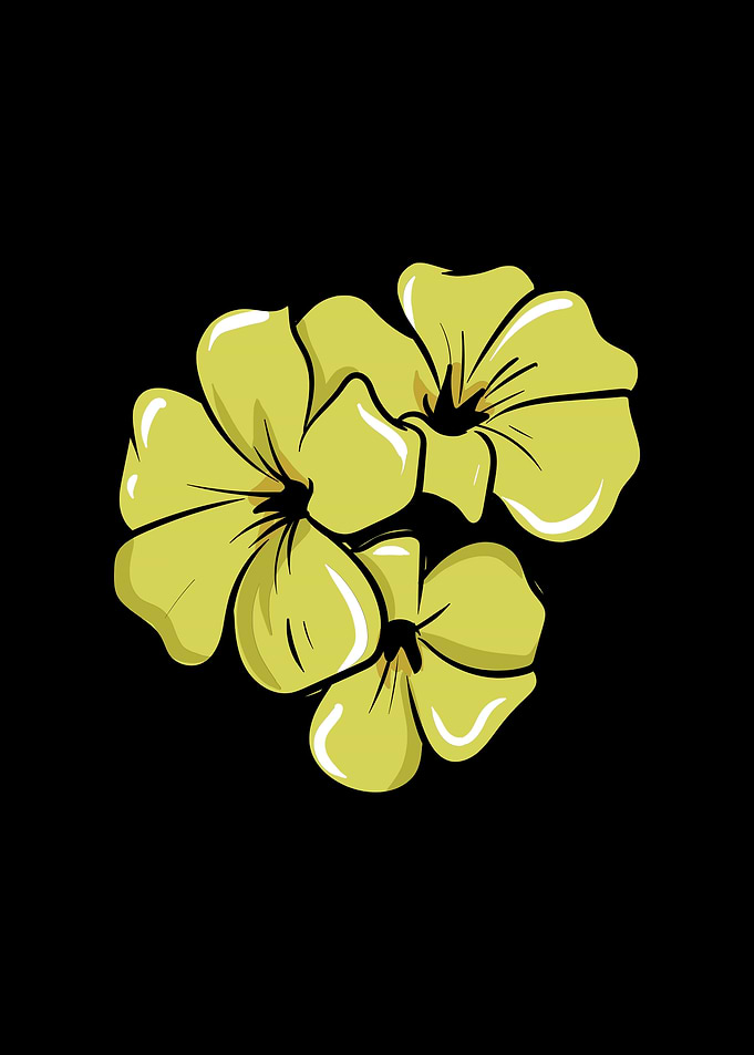 Yellow Flowers