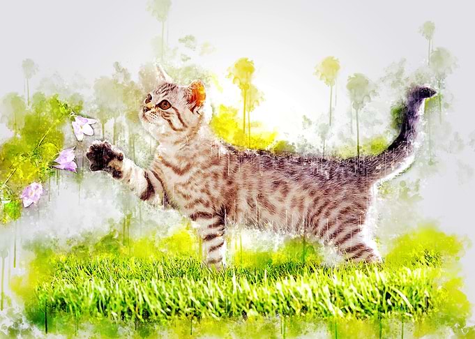 Kitten and flower