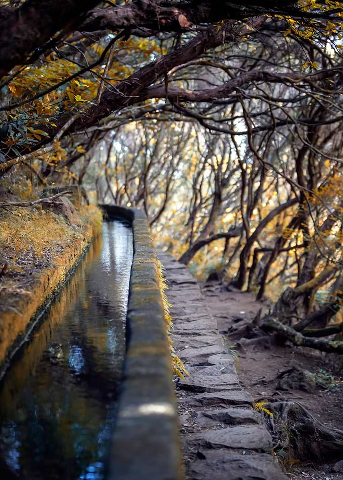 Madeira, Portugal island