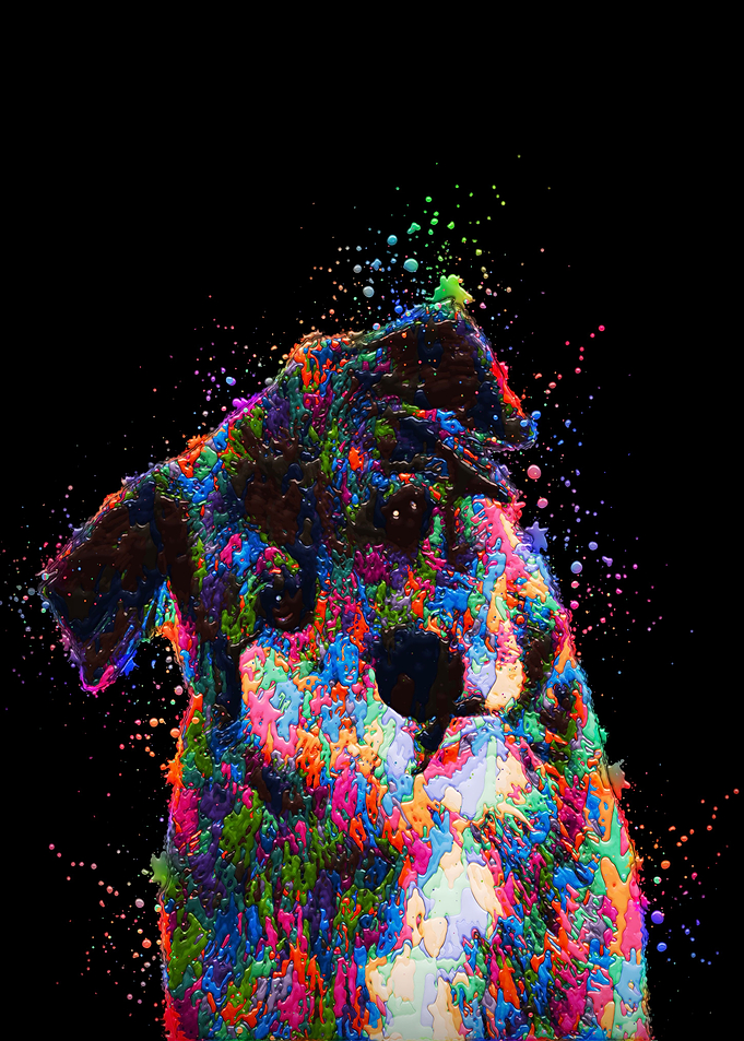 Crying Dog Painting