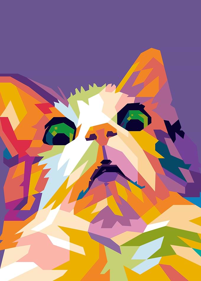 Scared Meme Cat Funny