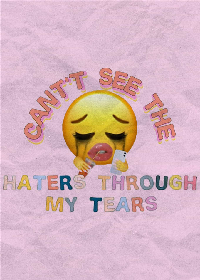 Cant see the haters meme