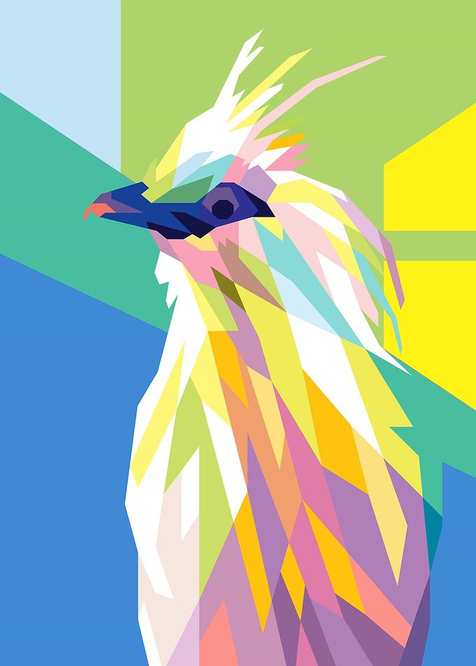 Beautifull Bird