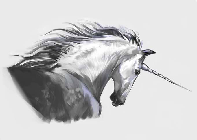 Unicorn